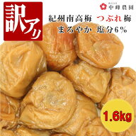 【訳アリ】うす塩味梅（まろやか梅）塩分6％ (1.6kg) つぶれ梅 賞味期限短い 塩分補給 夏バテ 減塩 梅干…