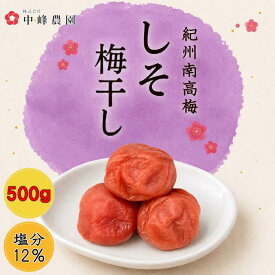 紀州南高梅 しそ漬 500g（500g×1)【塩分12％】【サイズ選べます】小粒 大粒 中粒 塩分補給 梅干し しそ しそ梅 しそ梅干し 酸っぱい梅干し 南高梅 南高梅干し 昔ながらの梅干し 高級 すっぱい お取り寄せ ご飯のお供 送料無料