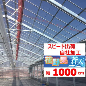 ԖʑV \Ee 0.15mm 1000cm POtB  _Ɨp rj[nEXp g}g LE iX s[} C`S ԃL ]̒imj𐔗ʂɓ Zϐ Xs[ho ЉH 