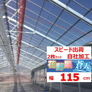 ԖʑV \Ee 0.15mm 115cm 2Zbg POtB  _Ɨp rj[nEXp g}g LE iX s[} C`S ԃL ]̒imj𐔗ʂɓ Zϐ Xs[ho 