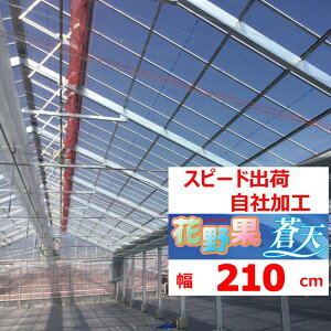 ԖʑV \Ee 0.15mm 210cm POtB  _Ɨp rj[nEXp g}g LE iX s[} C`S ԃL ]̒imj𐔗ʂɓ Zϐ Xs[ho ЉH 