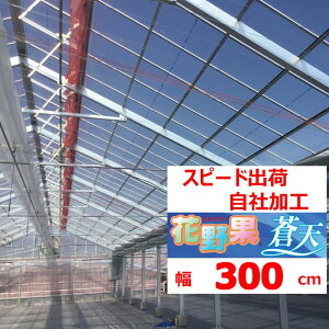 ԖʑV \Ee 0.15mm 300cm POtB  _Ɨp rj[nEXp g}g LE iX s[} C`S ԃL ]̒imj𐔗ʂɓ Zϐ Xs[ho ЉH 