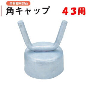 pLbv 43 Oa42.7mmpCvp nӃpCv _Ɨp ʎIp i hubLdグ }݂p x gX 킢 S uhE