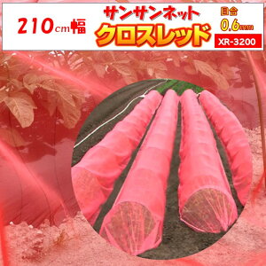 �y���[�J�[��蒼���z �h���l�b�g ���{���C�h�N���X �T���T���l�b�g�N���X���b�h XR3200 0.6mm�ڍ� ����100m ��������65�� ���C �Q�� ���悯 ���悯 �r�j�[���n�E�X ��