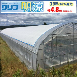 y[J[iz30W Ռ30 4.8m F CE ngt Ռ ՔM _Ɨp rj[nEXp g}g LE iX s[} C`S ԃL ؂蔄 Jbg m