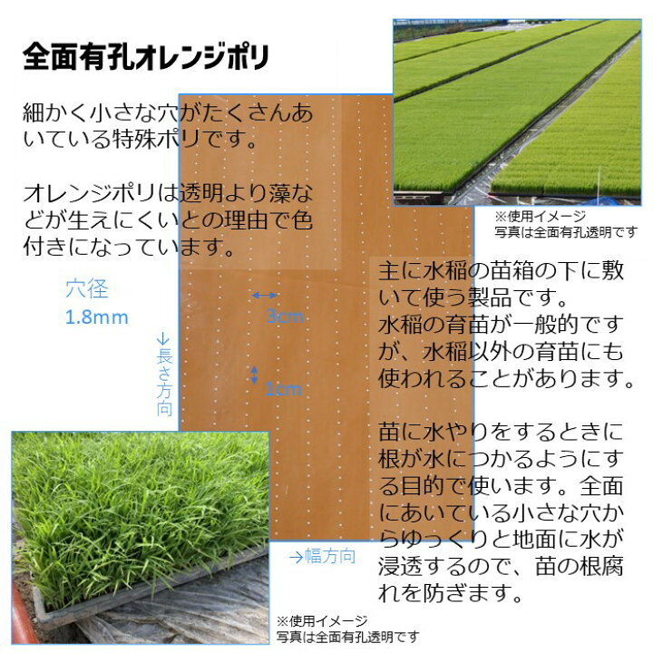 楽天市場】【訳あり処分品】全面有孔オレンジポリ 厚さ0.03mm 幅135cm 
