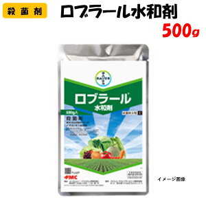 yϑ蒼z u[a 500g Eۍ | ƒ؉ h _ _Ǝ oCGNbvTCGX DFѕa _ta a Da