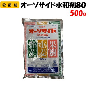 yϑ蒼z I[\TCha80 500g Eۍ | ƒ؉ h _ _Ǝ AX^CtTCGX