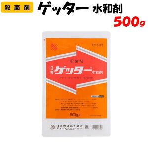 yϑ蒼z Qb^[a 500g Eۍ h _ {B ʎ   D