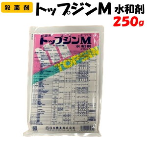 yϑ蒼z gbvWMa 250g Eۍ h _ {B ʎ  ƒ؉