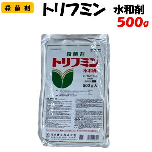 yϑ蒼z gt~a 500g Eۍ h _ {B ʎ  ƒ؉