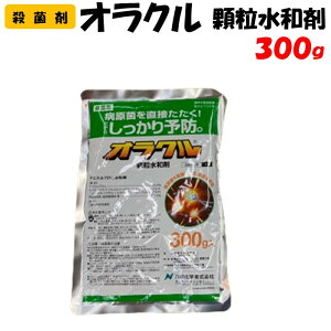 yϑ蒼z INa 300g Eۍ h _ Yw ʎ  ƒ؉