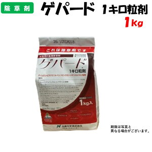 yϑ蒼z Qp[h1L 1kg  h _ Yw p