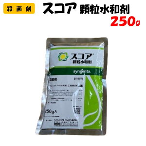 【委託先より直送】 スコア顆粒水和剤 250g 殺菌剤 園芸 家庭菜園 防除 農薬 農業資材 シンジェンタジャパン 野菜 果樹 茶 浸透移行 耐雨性 うどんこ 黒星 灰星