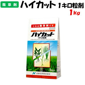 yϑ蒼znCJbg1L 1kg  h _ Yw NOC VYC mrG