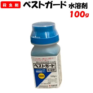 yϑ蒼zxXgK[hn 100g E | ƒ؉ h _ _Ǝ ZFw