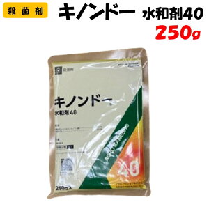 yϑ蒼zLmh[a40 250g Eۍ | ƒ؉ h _ _Ǝ AOJlVE