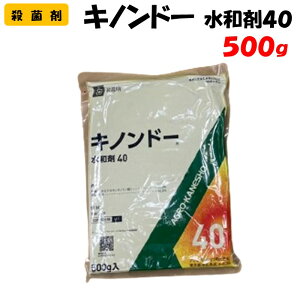 yϑ蒼zLmh[a40 500g Eۍ | ƒ؉ h _ _Ǝ AOJlVE