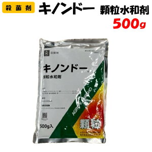 yϑ蒼zLmh[a 500g Eۍ | ƒ؉ h _ _Ǝ AOJlVE