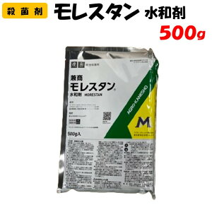 yϑ蒼zX^a 500g EEۍ | ƒ؉ h _ _Ǝ AOJlVE