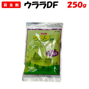 yϑ蒼zEDF 250g E | ƒ؉ h _ _Ǝ ΌoCITCGX