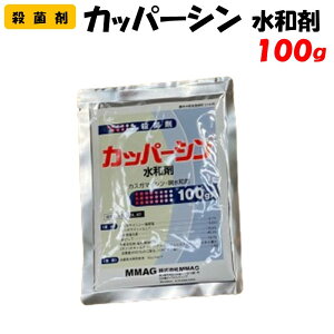 yϑ蒼z Jbp[Va 100g Eۍ | ƒ؉ h _ _Ǝ O䉻wNbvCt\[V