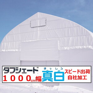 ^tVF[h^ ܂ 0.15mm 1000cm POtB F WW ʃzCg^Cv ՔM Ռ _Ɨp rj[nEXp _@q _Əꏊ ]̒imjœ Zϐ Xs