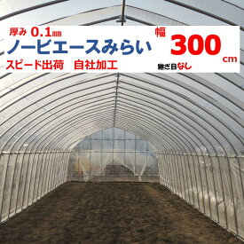 ノービエースみらい 0.10mm厚 300cm幅 農ビ 透明 農業用 ビニールハウス用 トマト キュウリ ナス ピーマン 家庭菜園 希望長さ（m）を数量に入力 三菱ケミカルアグリドリーム 継ぎ目なし スピード出荷 自社加工