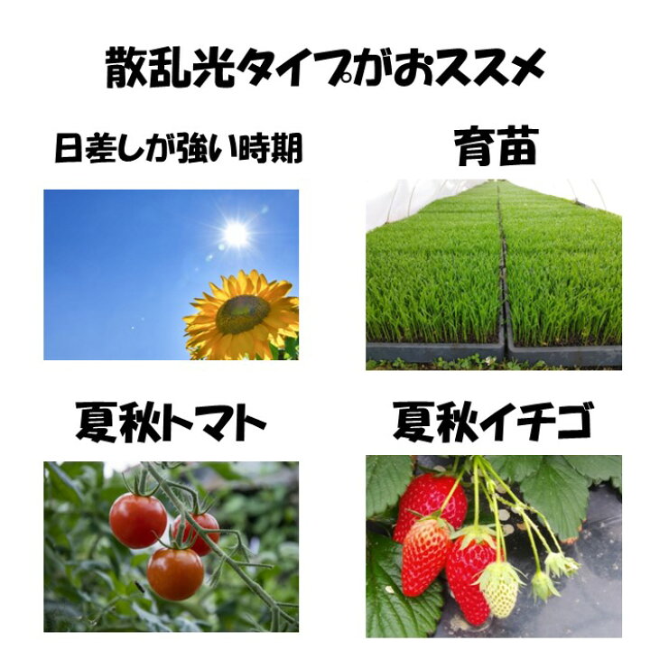 楽天市場】梨地（無滴） 0.1mm厚 660cm幅 MKVアドバンス 農ビ 散乱 