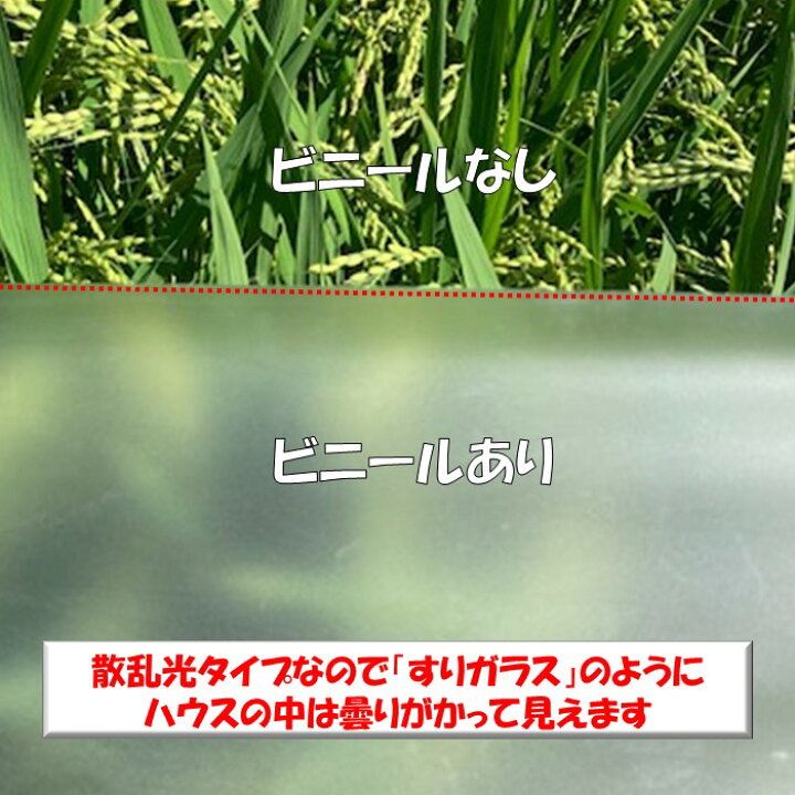 楽天市場】梨地（無滴） 0.1mm厚 270cm幅 農ビ 散乱光 ナシジ 農業用  