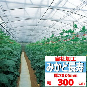 ݂ǒ 0.05mm 300cm POtB  _Ɨp rj[nEXp  J[e ۉ ϋv 앨 ]̒imj𐔗ʂɓ ݂ǉH Xs[ho ЉH ؂蔄 Jbg