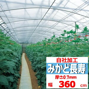 ݂ǒ 0.07mm 360cm POtB  _Ɨp rj[nEXp  J[e ۉ ϋv 앨 ]̒imj𐔗ʂɓ ݂ǉH Xs[ho ЉH ؂蔄 Jbg