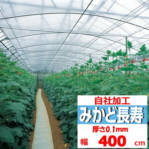 ݂ǒ 0.1mm 400cm POtB  _Ɨp rj[nEXp  J[e ۉ ϋv 앨 ]̒imj𐔗ʂɓ ݂ǉH Xs[ho ЉH ؂蔄 Jbg