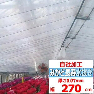 ݂ǒ 0.07mm 270cm POtB E  _Ɨp rj[nEXp J[e  `  ϋv 앨 ]̒imj𐔗ʂɓ ݂ǉH Xs[ho 