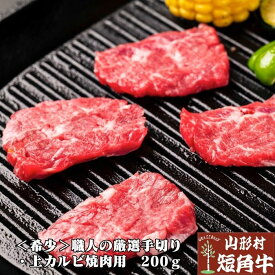 国産 飼料100％ 山形村 短角牛 上カルビ 200g (6mmカット) 【1〜2人前】岩手県 久慈市 総合農舎山形村 赤身肉 ギフト 誕生日 牛肉 希少 プレゼント