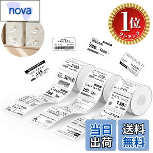 �y�y�V�����L���O1�ʊl���z�y���������zNIIMBOT ���x���V�[���y3���[���zB1/B1Pro/B2/B2Pro/B21/B21Pro/B31���x�����[�J�[�Ή� �������M���[���� ���M���x���v����