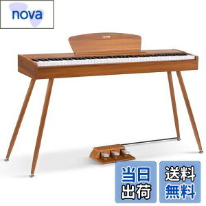 yzDonner dqsAm 88 n}[ANbV 3{y_ X^h A_v^[t { F DDP-80