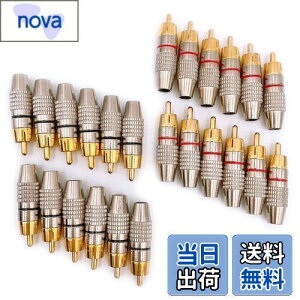 yzMeliore bL RCA vO [q ͂ X ^Cv IX PLUG TYPE ^Cv B P[u  ԍ bh ubN 24 Zbg