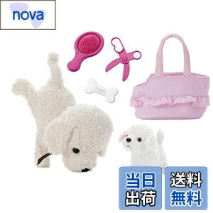 yzZKgCY(SEGA TOYS) RR  ! Ȃ悵Zbg