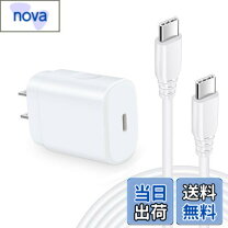 楽天市場】google pixel 10a フィルム（AC式充電器｜バッテリー・充電