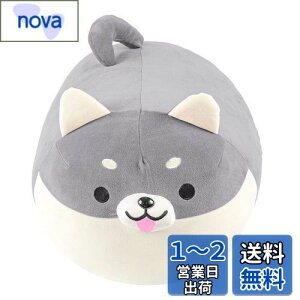 yzJEMA WF}   }V} Aj}NbV ʂ  ӂӂ _炩  v[gp O[  50cm