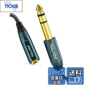 yzSOLMIMI XeIWvO ϊ 300cm 3.5mm~jiXj6.35mmWiIXjI[fBIpwbhzϊvO iC҂ bL I[fBIϊA_v^ ~jvO W