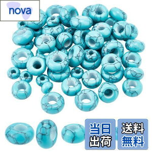 �y���������zPH PandaHall �^�[�R�C�Y�r�[�Y �V�R�΃r�[�Y 3�T�C�Y ��60�� �匊�r�[�Y �K�^�̐� �g���R�� �t���b�g���E���h �׋C�P�� �򉻂̐� �p���[�X�g�[�� �r�[�Y �u���[ �u���X���b�g �l�b