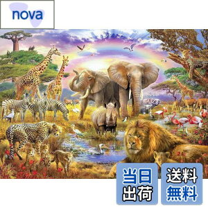 yzCHengQiSM 1000s[X WO\[pY  pY  q&l v[gi70×50cmj