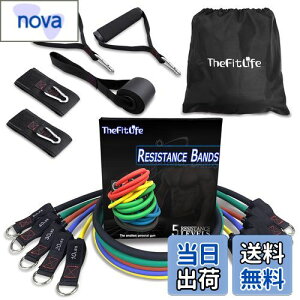 yzTheFitLife g[jO`[u `[u g[jO ؃g`[u (////)