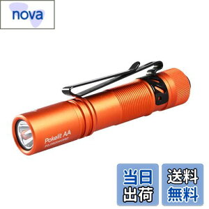 ACEBEAM Pokelit AA d ^ y  550[PO 3iK F Ra90 IP68h ő9̎s 肵ptH[}X イłƂ ledCg tbVCg h 
