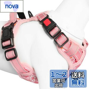 yz[2025ŐV^n[lX]BaoCheng p ^/^/^n[lX p h~ A^}ʂ P݌y TCY\ Ԕˍ Ȃ ʋC ȒP