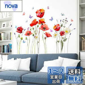 Mestiker PV̉Ԃł EH[XebJ[ sN  A   diy EH[XebJ[ ϗtA EH[XebJ[  i ǎV[ ͂   V[  G敗 h