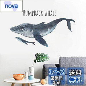 yzMestiker EH[XebJ[ C̓ C̐   k ǎ C NW V[ EH[XebJ[ NW  V[ 킢 q CeAj̎q 88*50CM