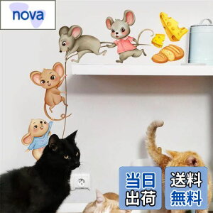 WOHAHA lY~vgEH[XebJ[ a^ԃlY~ EH[V[  q   EH[y[p[ 䏊 H toy room Q  ǎV[ h  